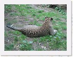 Dierentuin Burgers  Zoo 117 * 3648 x 2736 * (7.41MB)